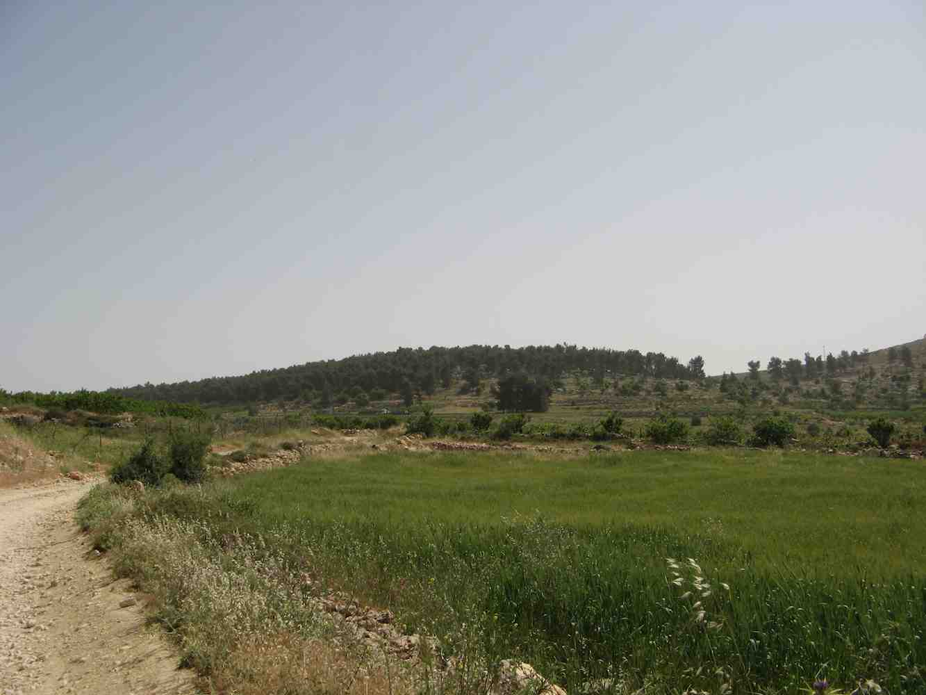 I M G_0347